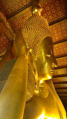 db_WP_Wat Pho reclining Buddha1
